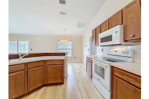 206 LOCUST PASS LANE, OCALA, FL 34472 - MLS#MFROM715293