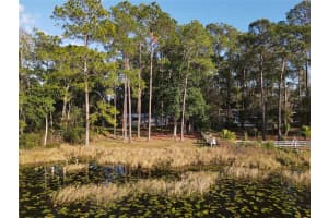 161 RILEY LAKE DRIVE, HAWTHORNE, FL 32640 - MLS#MFROM715297