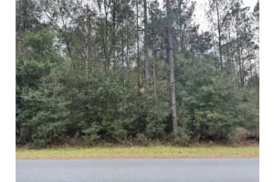 SW BEACH BLVD, DUNNELLON, FL 34431 - MLS#MFROM715298