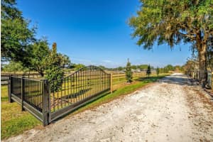 15305 112TH PLACE ROAD, MORRISTON, FL 32668 - MLS#MFROM715299