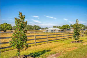 15305 112TH PLACE ROAD, MORRISTON, FL 32668 - MLS#MFROM715299