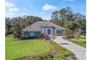 8746 31ST LANE ROAD, OCALA, FL 34482 - MLS#MFROM715304