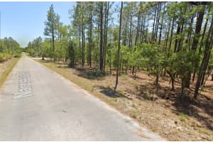 00 NARCISSUS ROAD, DUNNELLON, FL 34431 - MLS#MFROM715332