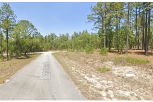 00 NARCISSUS ROAD, DUNNELLON, FL 34431 - MLS#MFROM715332
