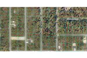 00 NARCISSUS ROAD, DUNNELLON, FL 34431 - MLS#MFROM715332