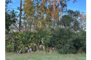 171 RYBERRY DRIVE, PALM COAST, FL 32164 - MLS#MFROM715341