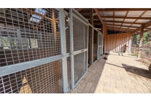 13260 97TH PLACE, DUNNELLON, FL 34432 - MLS#MFROM715376