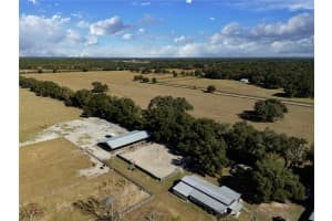 17885 2ND PLACE, WILLISTON, FL 32696 - MLS#MFROM715392