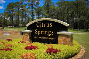 9182 CITRUS SPRINGS BOULEVARD, CITRUS SPRINGS, FL 34433 - MLS#MFROM715394