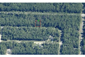 9243 PATCH DRIVE, CITRUS SPRINGS, FL 34434 - MLS#MFROM715395