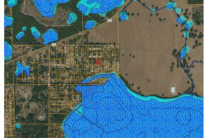 196TH ST SE, DUNNELLON, FL 34431 - MLS#MFROM715396