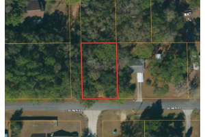 196TH ST SE, DUNNELLON, FL 34431 - MLS#MFROM715396