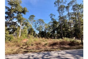 00 111 COURT, OCALA, FL 34482 Sold 02/27/26