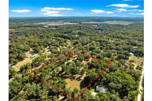 13850 47TH AVENUE, ANTHONY, FL 32617 - MLS#MFROM715447