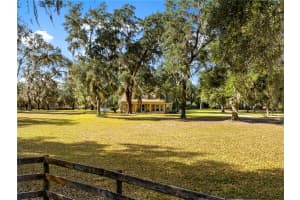 13850 47TH AVENUE, ANTHONY, FL 32617 - MLS#MFROM715447