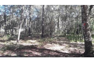 SW 202 AVE, DUNNELLON, FL 34431 - MLS#MFROM715456