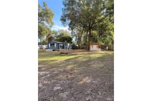 14820 100TH TERRACE, SUMMERFIELD, FL 34491 - MLS#MFROM715484