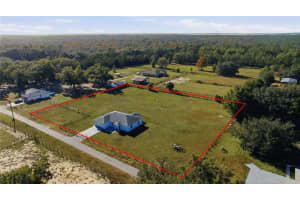 10758 SE HIGHWAY 464C, OCKLAWAHA, FL 32179 - MLS#MFROM715505
