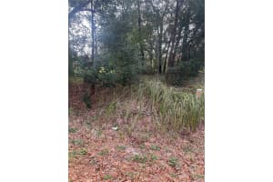TBD DOGWOOD TRAIL PLACE, OCALA, FL 34472 Sold 03/31/26