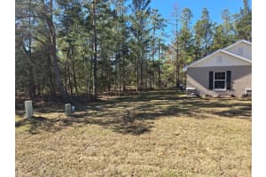 56 GRASS STREET, HOMOSASSA, FL 34446 - MLS#MFROM715556
