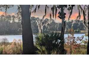 9350 170TH AVENUE ROAD, OCKLAWAHA, FL 32179 - MLS#MFROM715573