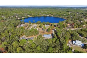 11921 169TH AVENUE ROAD, OCKLAWAHA, FL 32179 - MLS#MFROM715583