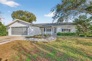 17951 96TH AVENUE, SUMMERFIELD, FL 34491 - MLS#MFROM715598