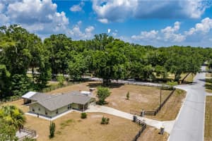 13300 38TH AVENUE, ANTHONY, FL 32617 - MLS#MFROM715604