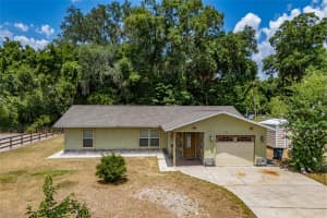 13300 38TH AVENUE, ANTHONY, FL 32617 - MLS#MFROM715604
