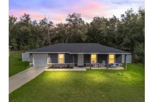 17 MAGNOLIA DRIVE, OCKLAWAHA, FL 32179 - MLS#MFROM715620
