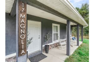 17 MAGNOLIA DRIVE, OCKLAWAHA, FL 32179 - MLS#MFROM715620