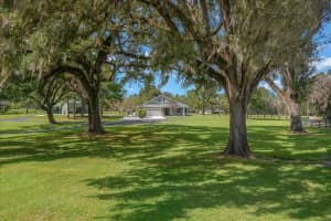 10005 28TH PLACE, OCALA, FL 34482 - MLS#MFROM715623