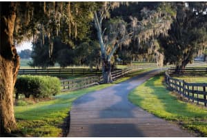 12750 W HIGHWAY 40, OCALA, FL 34481 - MLS#MFROM715626
