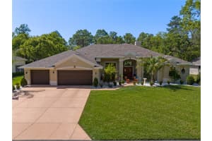 49 CACTUS, HOMOSASSA, FL 34446 - MLS#MFROM715678