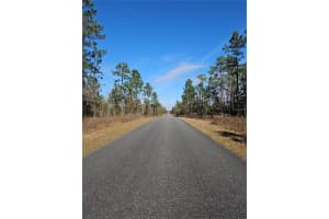 TBD 136TH TERRACE, DUNNELLON, FL 34431 - MLS#MFROM715683