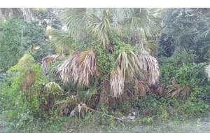 BLUEBERRY RD, NORTH PORT, FL 34288 Sold 02/02/26