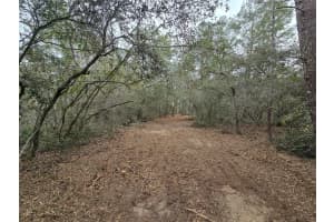 SE 152ND LN, UMATILLA, FL 32784 Sold 02/23/26