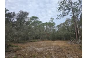 SE 152ND LN, UMATILLA, FL 32784 Sold 02/23/26