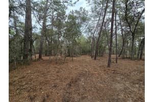 SE 152ND LN, UMATILLA, FL 32784 Sold 02/23/26