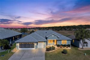 12384 176TH LOOP, SUMMERFIELD, FL 34491 - MLS#MFROM715851