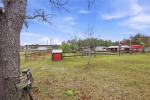 975 107TH COURT, OCALA, FL 34482 - MLS#MFROM715855