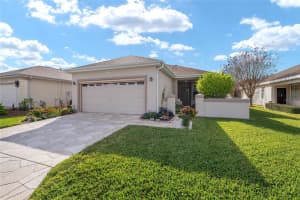 14198 85TH TERRACE, SUMMERFIELD, FL 34491 - MLS#MFROM715903