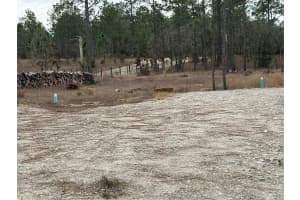 TBD 121ST TERRACE, DUNNELLON, FL 34432 - MLS#MFROM715989