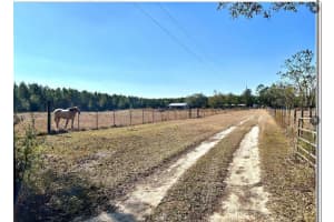 11475 167TH ROAD, LIVE OAK, FL 32060 - MLS#MFROM716005