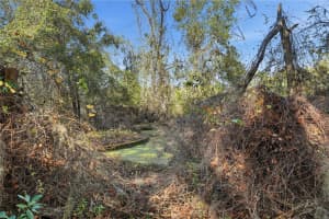 3932 COUNTY ROAD 507, WILDWOOD, FL 34785 - MLS#MFROM716012