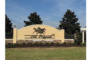 6243 89TH STREET ROAD, OCALA, FL 34476 - MLS#MFROM716044