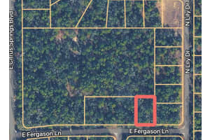 1409 FERGASON LANE, DUNNELLON, FL 34434 - MLS#MFROM716057