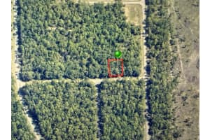 1409 FERGASON LANE, DUNNELLON, FL 34434 - MLS#MFROM716057