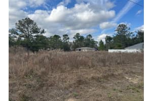 7514 VOYAGER DRIVE, CITRUS SPRINGS, FL 34433 - MLS#MFROM716102