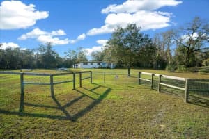 6250 150TH AVENUE, MORRISTON, FL 32668 - MLS#MFROM716103